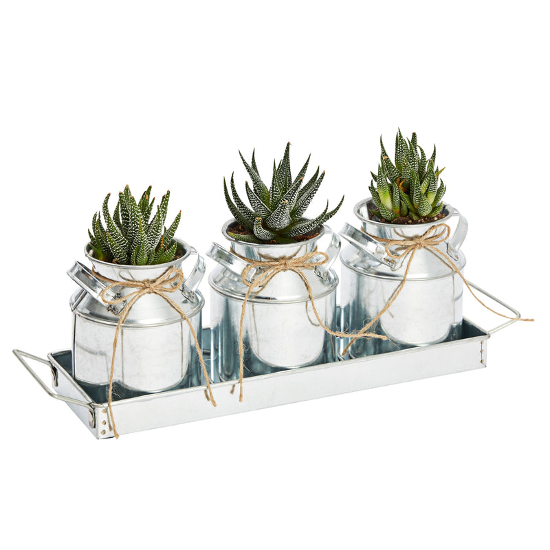 Set of 3 Galvanized Metal Window Herb Planters for Indoor Plants, Farmhouse Flowers Pots with Tray (15 x 4 x 5 In)