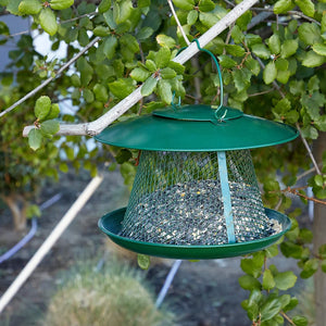 Hanging Metal Bird Feeder for Outdoor Patio, Garden, and Lawn, 10.5x10.5x9-Inch Covered Mesh Feeder Holds Up To 2.5 Lbs of Sunflower Seeds, Ideal for Small and Medium Sized Birds (Green)