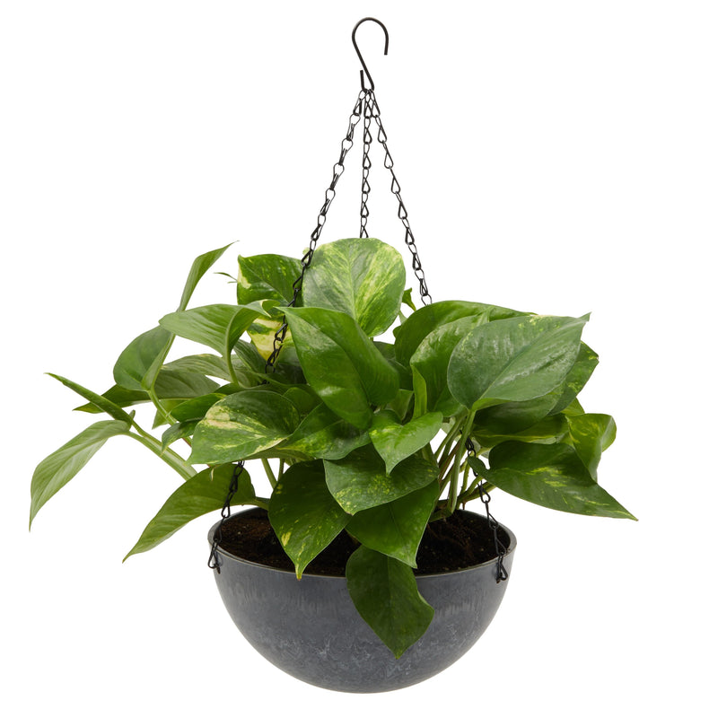 2 Pack Grey Marble Hanging Planters for Indoor and Outdoor Plants, 10-Inch Flower Plant Pots