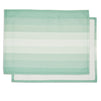 Set of 6 Placemats 13 x 17 in, Green Ombre Washable Place Mats for Kitchen & Dining Table Decoration