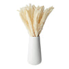 Natural Dried Ivory Pampas Grass with Ceramic Vase for Wedding Reception, Table Centerpiece, Floral Arrangement, Rustic-Style Farmhouse Home Decor, 40 Bundles (16 in)