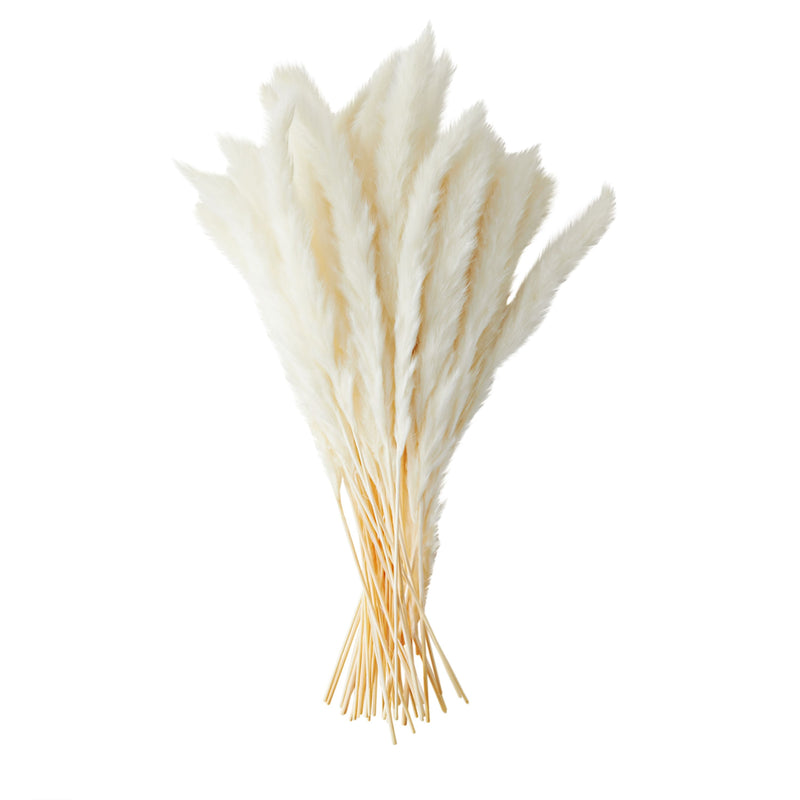 Natural Dried White Pampas Grass with Ceramic Vase for Wedding Reception, Table Centerpiece, Floral Arrangement, Rustic-Style Farmhouse Home Decor, 40 Bundles (16 in)