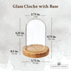 Glass Display Dome Cloche with Wooden Base for Home Decoration (3.5 x 4.7 In)