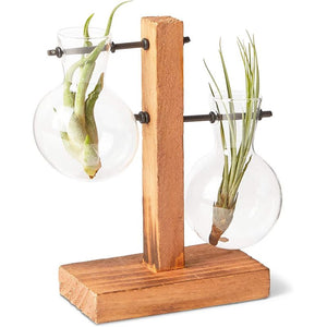 Tabletop Planter with Bulb Glass Vase (5.9 x 5.7 in)