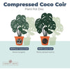 Coco Coir Pellets, Soil Disks wrapped in Non-Woven Fabric (1.5 In, 36 Pack)