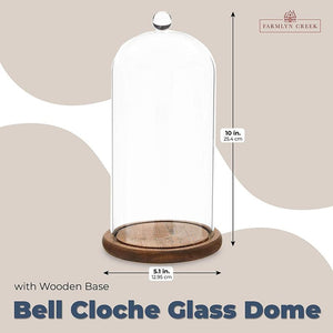 Bell Glass Cloche Dome for Plants, Food, and Candles (5.1 x 5.1 x 10 In)