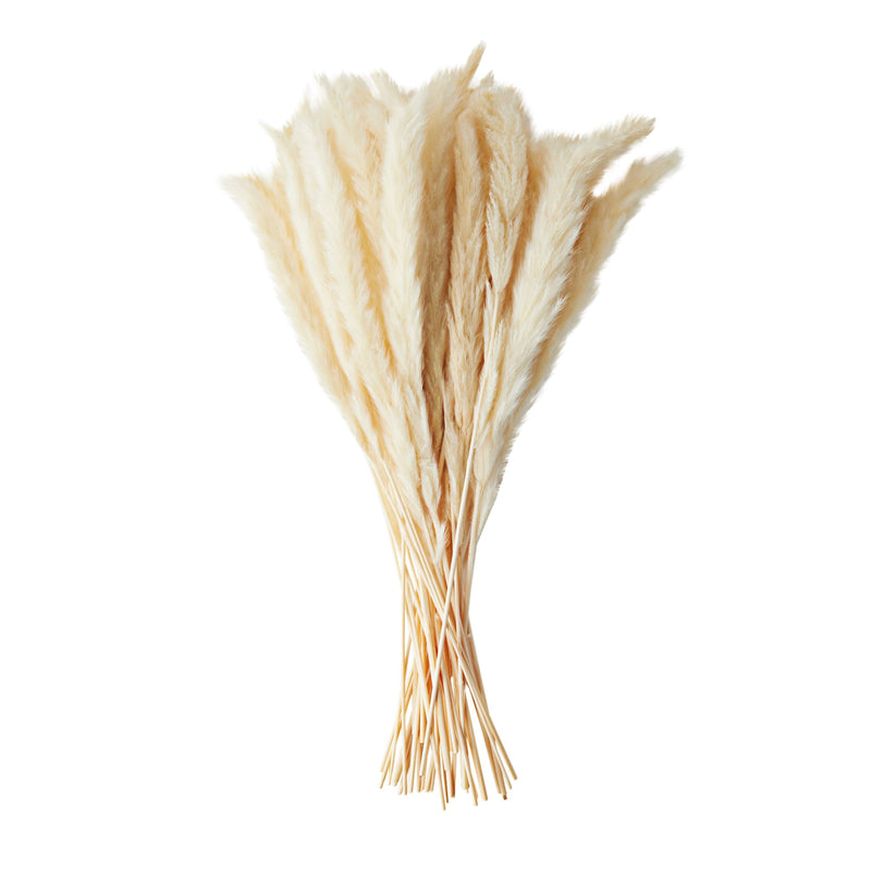 Natural Dried Ivory Pampas Grass with Ceramic Vase for Wedding Reception, Table Centerpiece, Floral Arrangement, Rustic-Style Farmhouse Home Decor, 40 Bundles (16 in)
