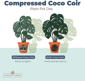 Coco Coir Pellets, Soil Disks (30 mm, 80 Pack)